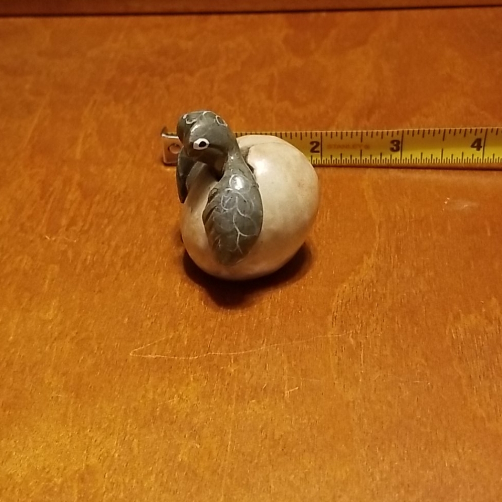Small hatching turtle